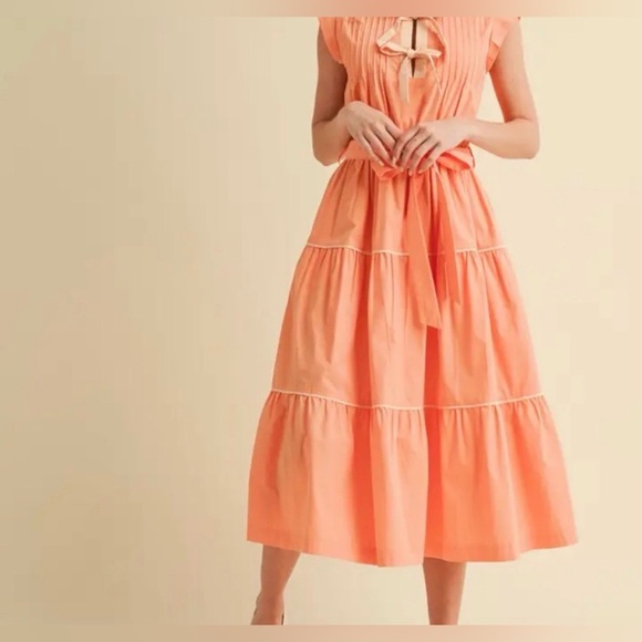 New! Pretty as a Peach, midi dress by &Merci, sz M - Picture 6 of 8